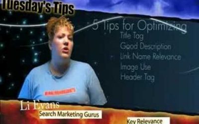 search engine optimization tips – 5 SEO Tips for Easy Web Site Optimization (SEO) by Liana Evans