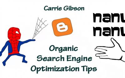 search engine optimization tips – Arkansas Organic Search Engine Optimization Tips | Cheap Affordable For Local Companies