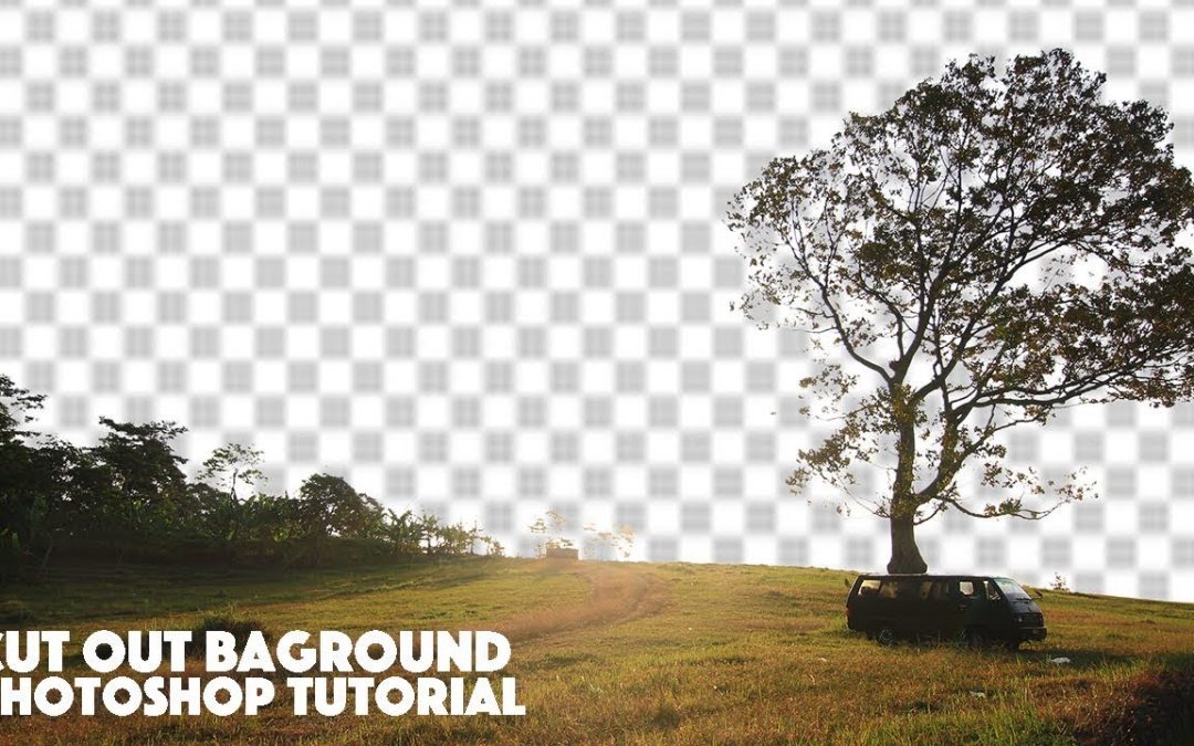 How To Cut Backround Image Tutorial Dieno Digital Marketing