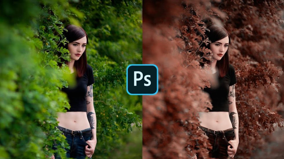 colorize in photoshop