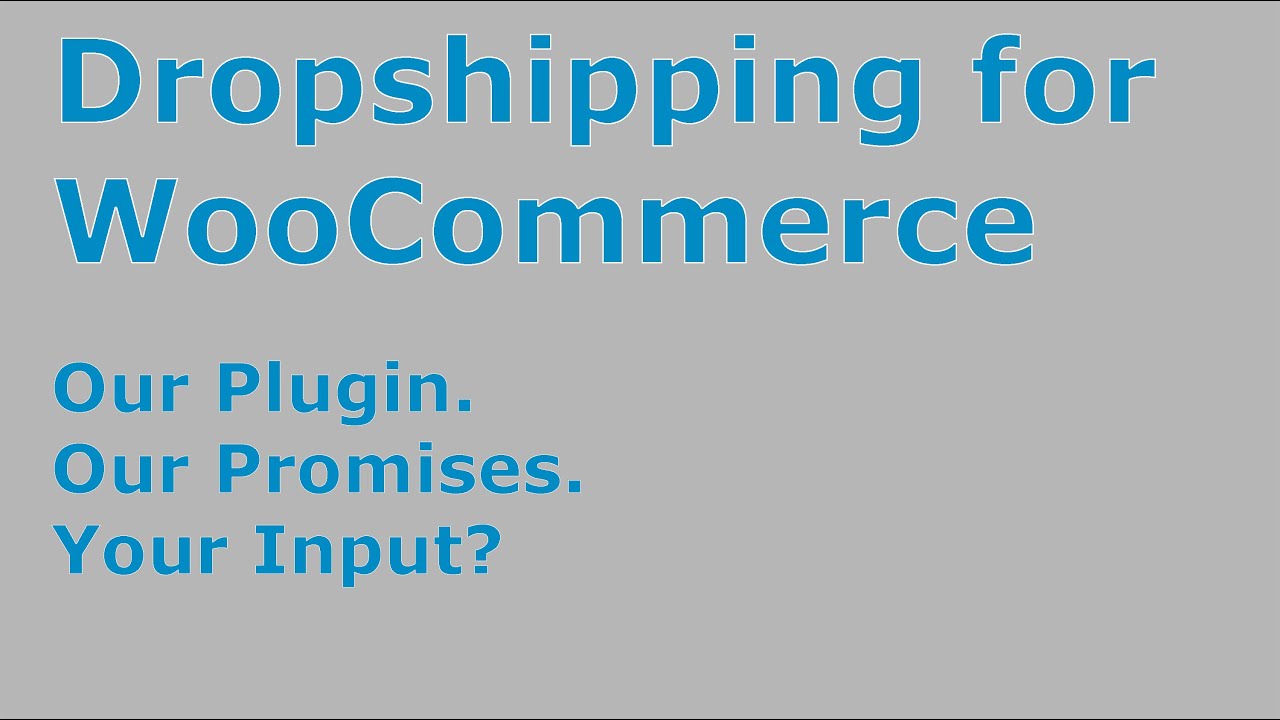 Official Dropshipping Plugin for WooCommerce - Our promises to you