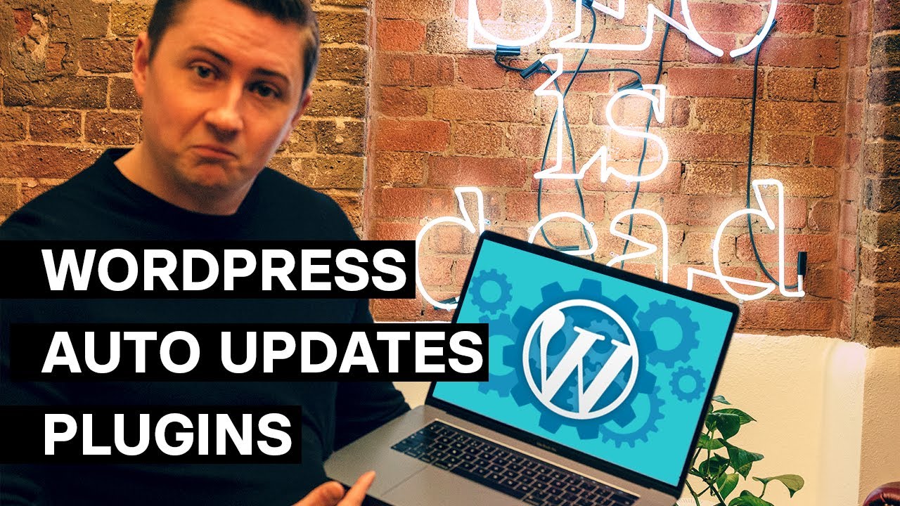 Wordpress auto updates plugins | Canonical Chronicle