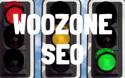 search engine optimization tips – OPTIMISING (optimizing) a WOOZONE PRODUCT with Yoast SEO