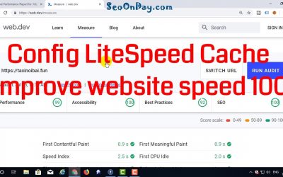 search engine optimization tips – [SEO Tips]9.Config LiteSpeed Cache improve website speed 100