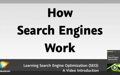 search engine optimization tips – Spiders, Bots, and Crawlers