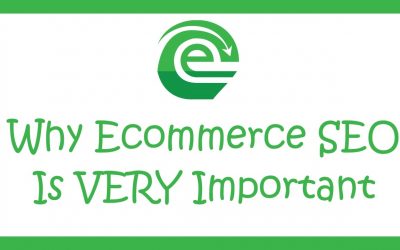 search engine optimization tips – Why Shopify Ecommerce SEO Optimization Is Important