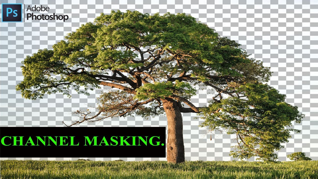 How to use Channel Masking in Adobe Photoshop.Remove background by channel masking.