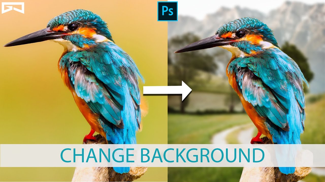 Photoshop Tutorial for Beginners | How to Change Background in Photoshop | Quick Selection tool