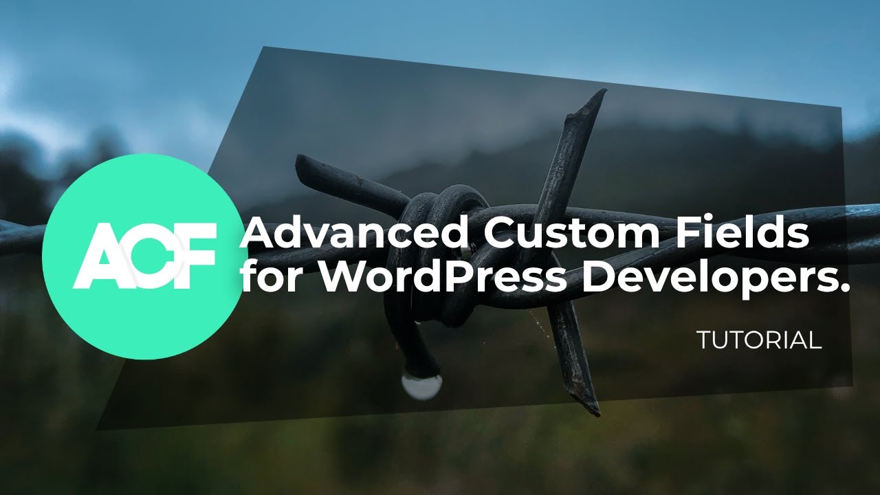 Advanced Custom Fields - Tutorial ITA