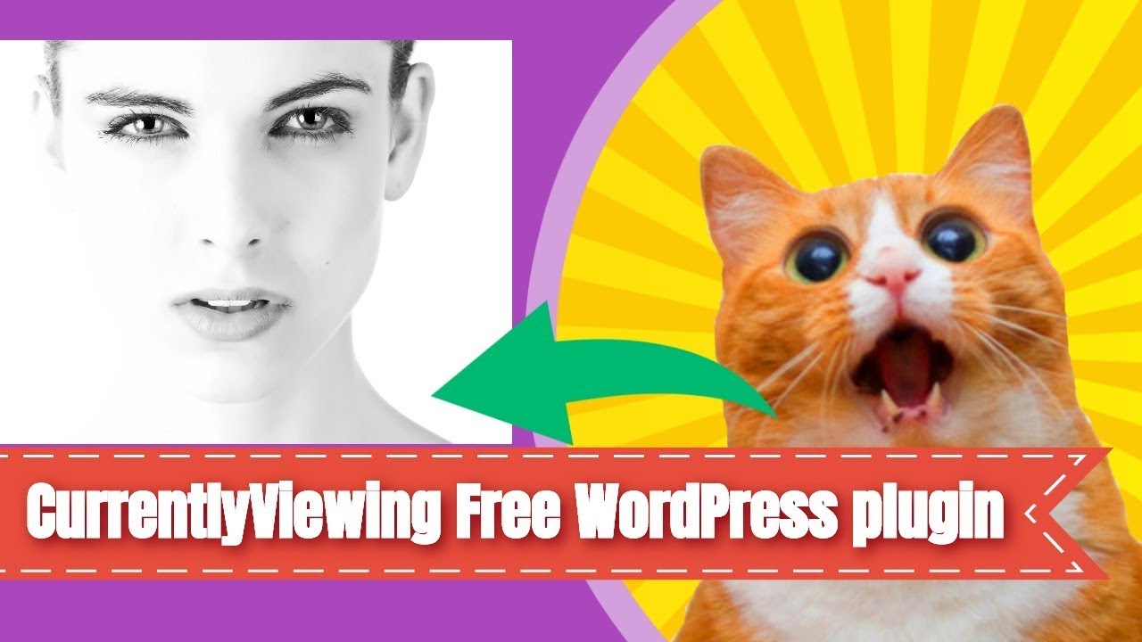 Currently Viewing a free WordPress plugin