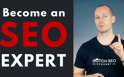 search engine optimization tips – 7 Habits of Highly Successful SEO Experts