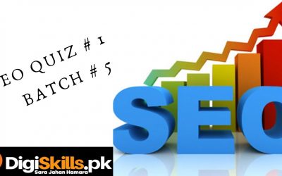 search engine optimization tips – Diggiskills SEO | Search Engine Optimization | SEO Quiz | Batch :5