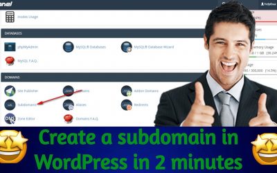 search engine optimization tips – How To Create WordPress Subdomain 2 Minutes |  And Run Unlimited Website in (Bengali)