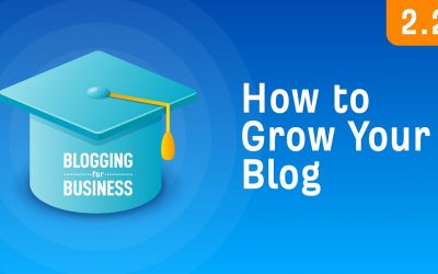 search engine optimization tips – How to Grow Your Blog: Two Strategies That Work [2.2]