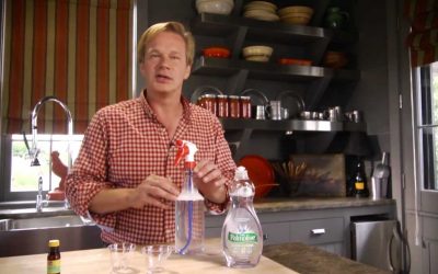 search engine optimization tips – How to Make Spider Repellent | At Home With P. Allen Smith