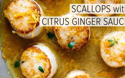 search engine optimization tips – SCALLOPS with CITRUS GINGER SAUCE | how to cook scallops