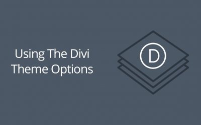 search engine optimization tips – Using The Divi Theme Options