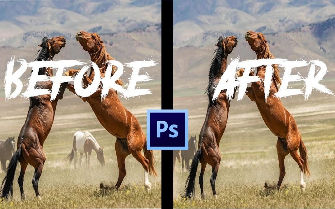 How To Hide unwanted content with the Patch tool Adobe Photoshop Tutorial