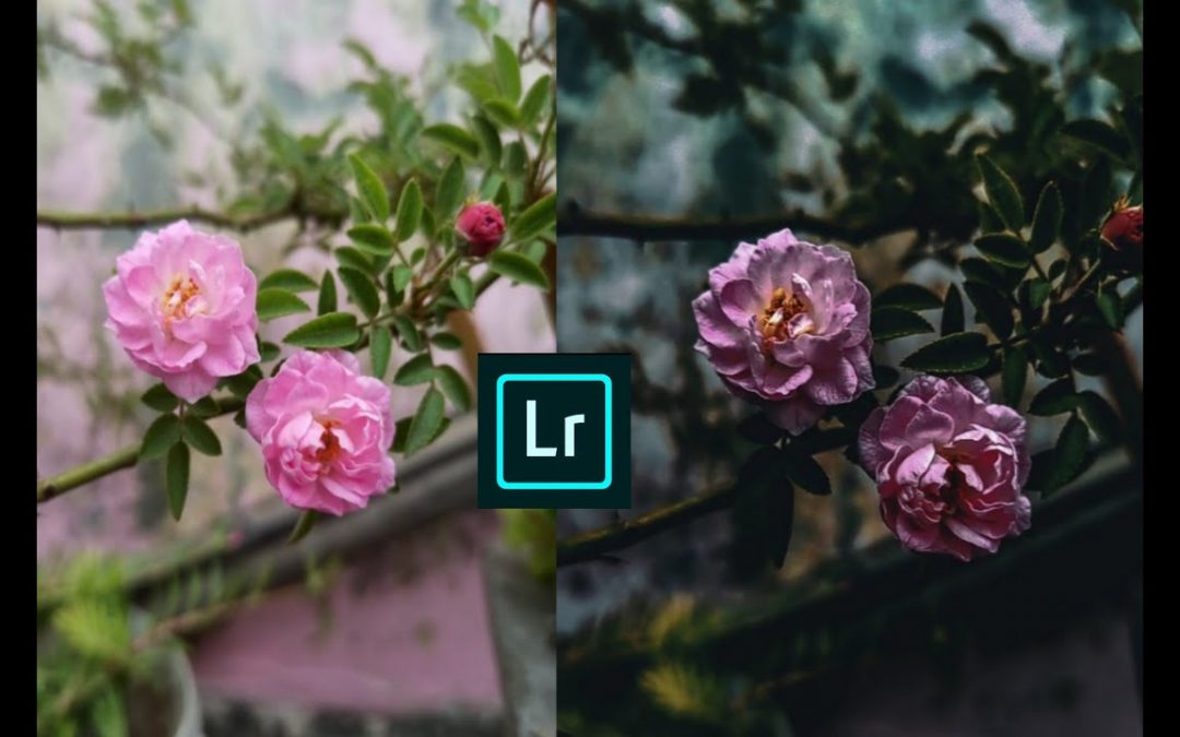 Adobe Photoshop Lightroom Editing! | LIGHTLOOM Tutorial