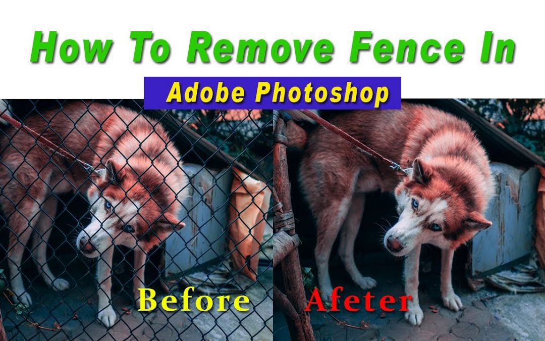 How To Remove Fence In | Adobe Photoshop | Quick & Easy | Urdu/Hindi | 2020 |