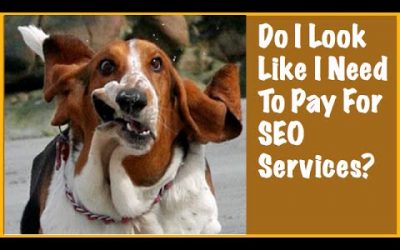 search engine optimization tips – Do You Need SEO Services To Win At Search Engine Optimization