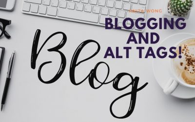 search engine optimization tips – Optimising your blogs with Alt Tags for SEO