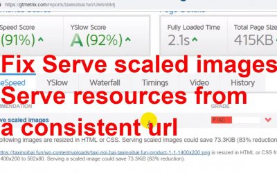 search engine optimization tips – [SEO Tips]8.Fixed Serve scaled images & Serve resources from a consistent URL