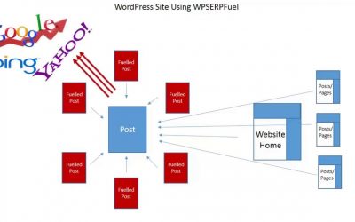 search engine optimization tips – WP Serp Fuel Review Demo – Search Engine Optimization Plugin For WordPress