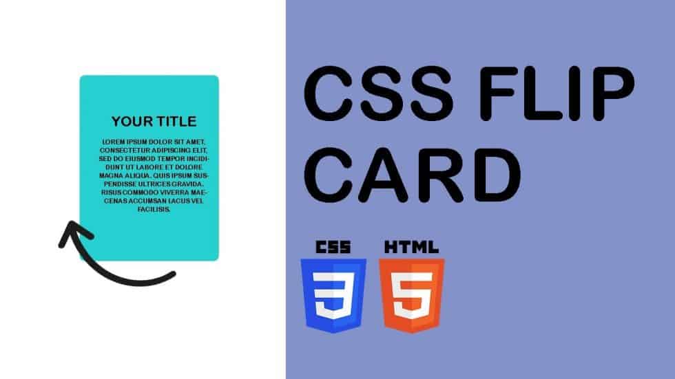 Css Flip Card Tutorial 