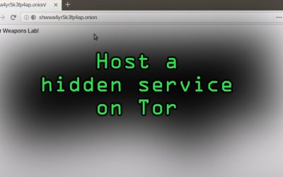 Do It Yourself – Tutorials – Host Your Own Tor Hidden Service with an Onion Address [Tutorial]