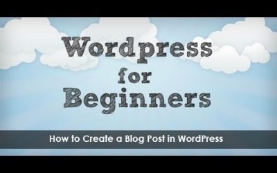 Do It Yourself – Tutorials – How to Create a Blog Post in WordPress