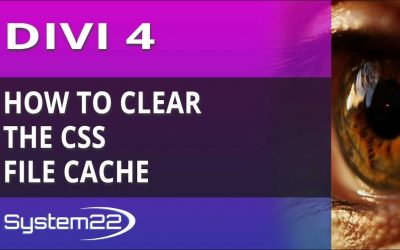 Divi 4 How To Clear The CSS File Cache