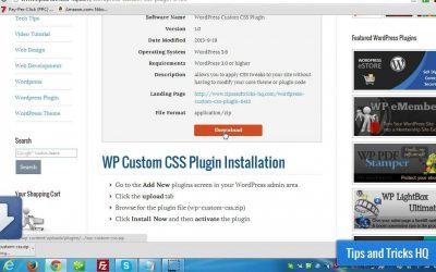 WordPress Custom CSS Plugin Usage