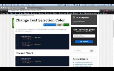 How to Change Text Selection Color_ CSS Code Snippet in Hindi & Urdu