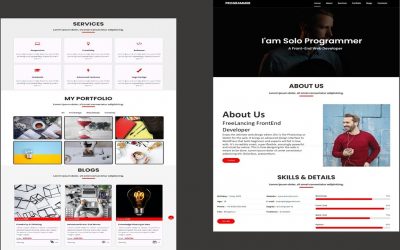 Do It Yourself – Tutorials – (Demo) Personal Portfolio Website Using only HTML CSS and JS | Website | Solo Programmer | #ssp