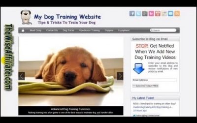 Do It Yourself – Tutorials – How To Build A Website From Scratch – Full Video Tutorial On How To Make Your Own Site