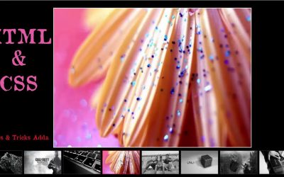 How To Create Gallery Using Only HTML & CSS