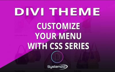 Divi Theme Customize Your Menu With CSS Series 👈