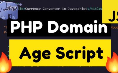 Do It Yourself – Tutorials – Build a Domain Age Checker SEO Tool in HTML5 Javascript and PHP 7 Full Web App Tutorial 2020