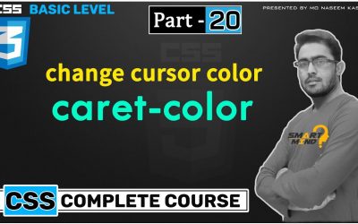 caret color in css for beginners in hindi cursor color change with css  – #20