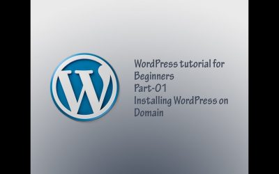 WordPress For Beginners – WordPress Tutorial for Beginners-Part 1 Installing WordPress-WordPress5.5 2020