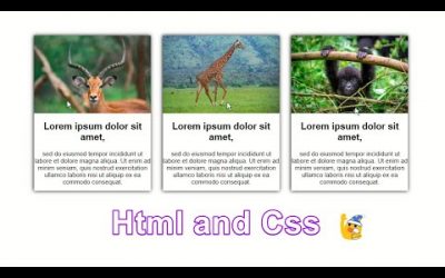 How to Create Post Cards  Using HTML and CSS | box Contents text with image