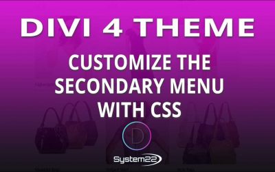 Divi 4 Customize The Secondary Menu With CSS