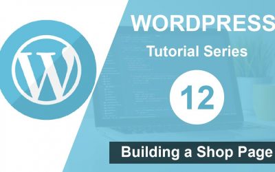 WordPress For Beginners – WordPress tutorial for beginners step by step (Part 12): Login and Theme Installation