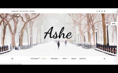 Do It Yourself – Tutorials – How to Make a Professional WordPress Blog Website with Free Theme Step by Tutorial [For Beginners]