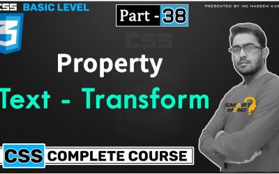 What is text transform and how to use text transform in css for beginners in hindi #38