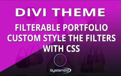 Divi Theme Filterable Portfolio Custom Style The Filters With CSS 👈