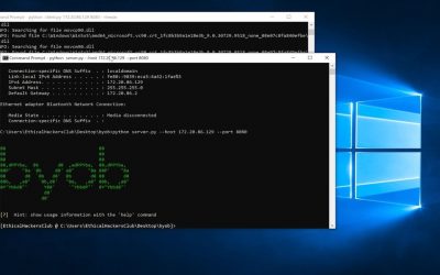 Do It Yourself – Tutorials – BYOB (Build Your Own Botnet) Test/Demo