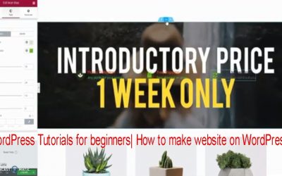 Do It Yourself – Tutorials – wordpress tutorial for beginners 2020 – how to create your first wordpress website