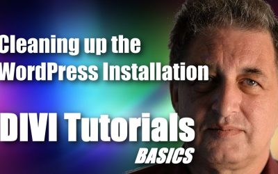 WordPress For Beginners – #03 DIVI Theme Tutorial for Beginners –  Cleaning up the WordPress Installation